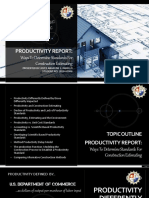 Productivity Report