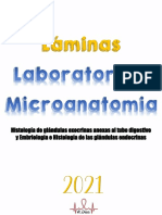 Laminas Lab 8 Micro-1