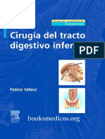 Cirugia Del Tracto Digestivo Inferior Tecnicas Quirurgicas