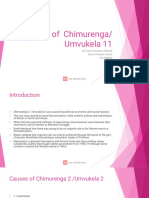 Causes of Chimurenga