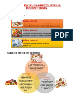 Clasificación de Los Alimentos Según Su Función y Origen