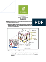 Guía de Semiología - Piel