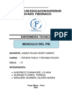 Músculos del pie: extensores y flexores