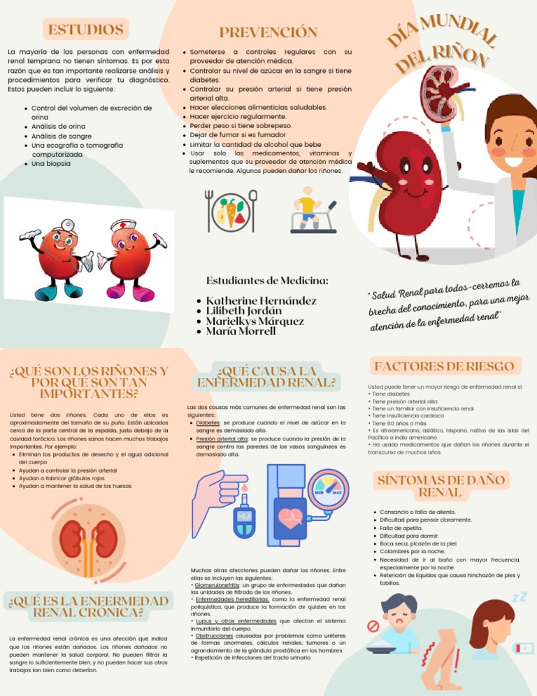 Dia Mundial Del Riñon | PDF