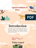 ANIMALES EN EXTINCION (Compañero) Inglés