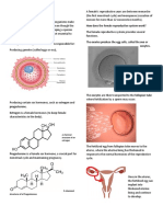 Female Reproduction11
