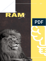 Portfólio RAM