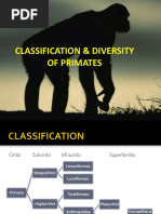 Primate Taxonomy and Classification Chart | PDF | Monkey | Ape