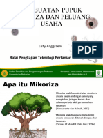 PUPUK MIKORIZA DAN PELUANG USAHA