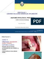 Apa Odontol Práctica #1-Parte-3 JGS