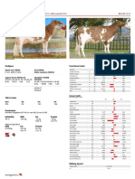 SAVARD-ET: A High-Performing Bull for Mastitis Resistance and Productive Life