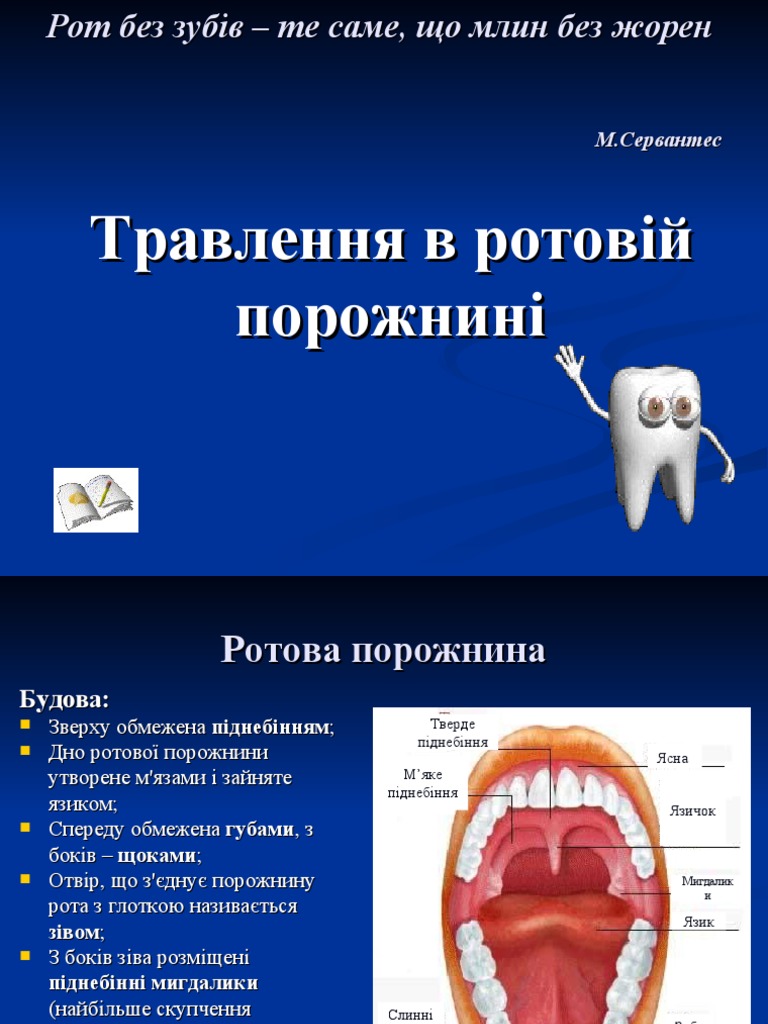 Зуби | PDF