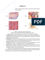 2 & 3. Jaringan Tubuh Manusia