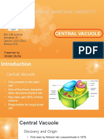 Central Vacuole