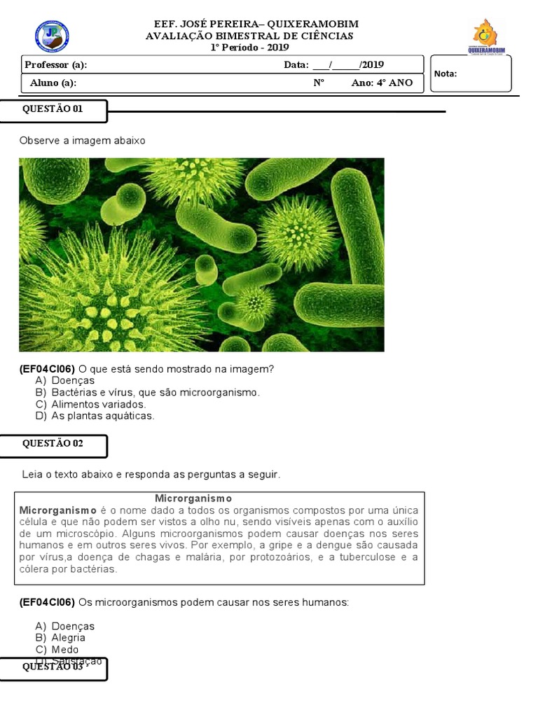 CI - 4º Ano Geral | PDF | Microrganismo | Bactérias