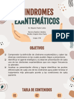 Sindromes Exantemáticos