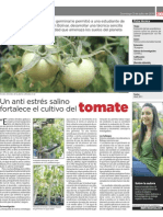 Un anti estrés salino fortalece el cultivo del tomate