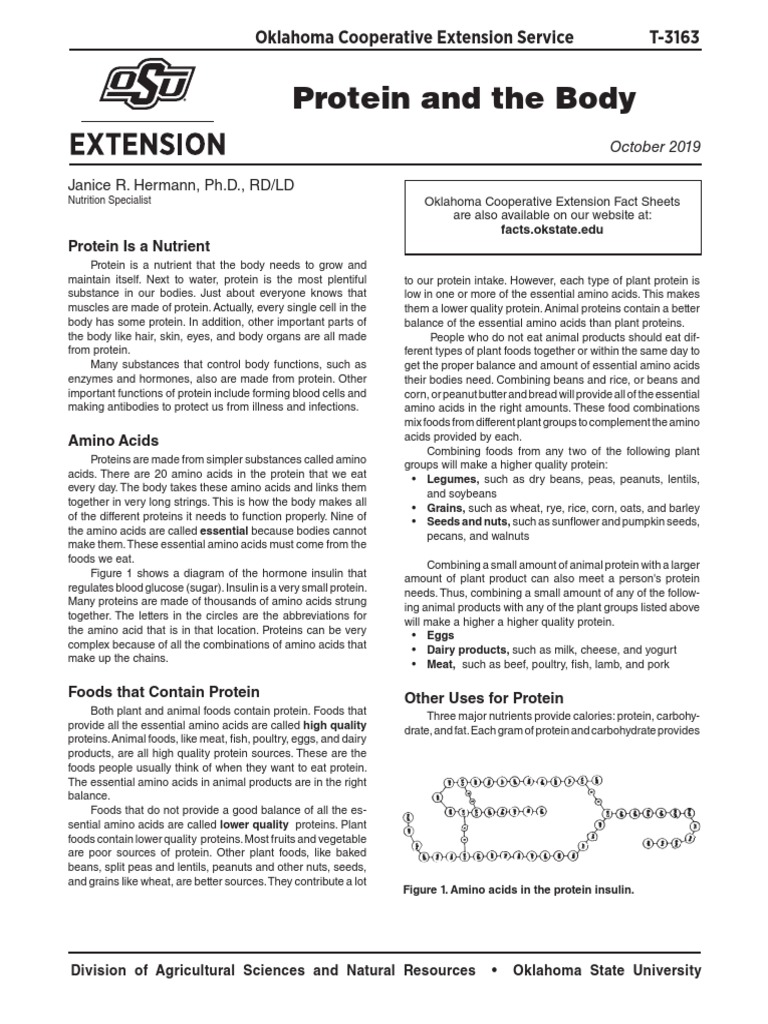 Protein-And-The-Body Jurnal | PDF