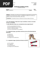 Evaluación Sumativa Fuerza