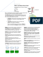 Mitosis & Meiosis Sheet