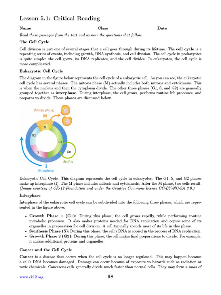 The Cell Cycle Questions Biology Diagrams