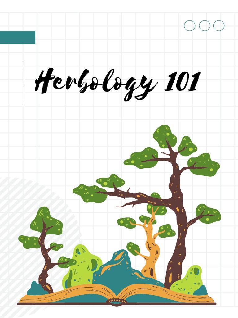 An Introduction to the Magical Properties and Uses of Herbology Plants