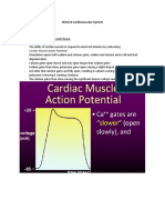 Cardiovascular System