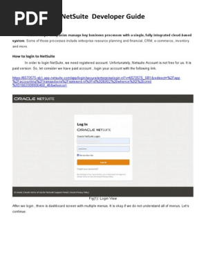 NetSuite Developer Guide