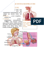 ANATOMI SISTEM RRESPIRATORI