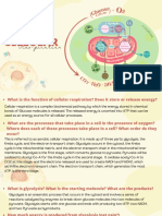 Cellular Respiration Act