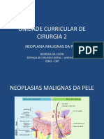 Neoplasias Malignas Da Pele - PPT 2021