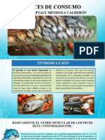 Peces de Consumo