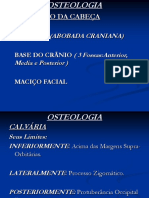 2° AULA - APARELHO LOCOMOTOR - Osteologia - Cabeça