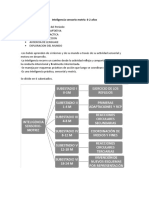 Inteligencia Sensorio Motriz