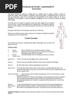 INCAT Sensory Sum Score Overview | PDF | Anatomical Terms Of Location ...