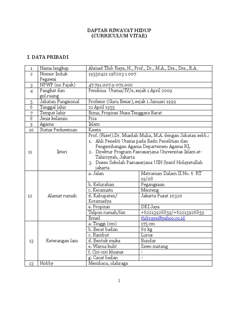CV (Thib Raya) | PDF