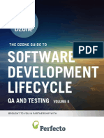 Software Development Lifecycle