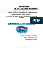 Descripcion y Analisis de Puestos. Carmen Ramirez PDF