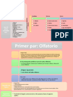 Neuroanatomia 1 Resumen