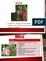 Molle