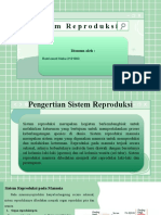 Sistem Reproduksi Wanita - Ramlawati Nebu