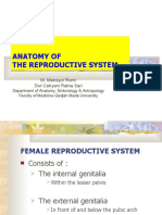Female Reprod. System