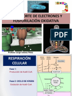 Clase-Tema 8-Cte-Fo