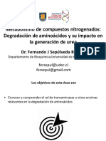 Degradación aminoácidos generación urea