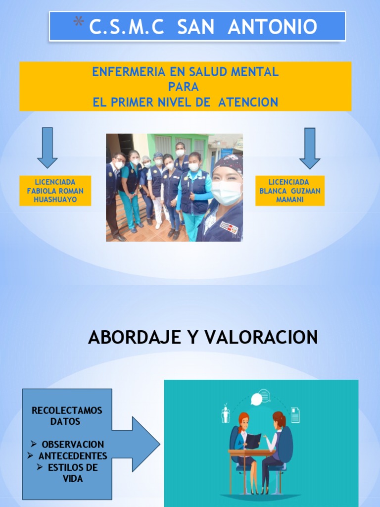 Enfermería en Salud Mental: Primer Nivel | PDF