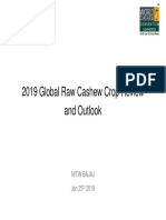 2019 Global Raw Cashew Crop Review and Outlook NITIN BAJAJ