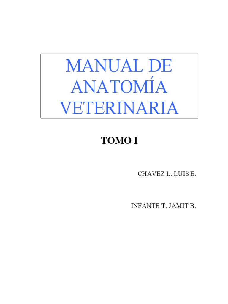 Anatomia Veterinaria Tomo I Pdf Hueso Términos Anatómicos De