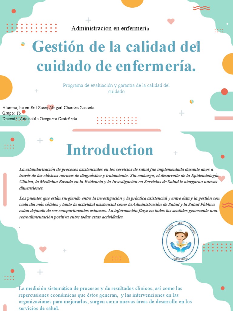 Calidad en Cuidado de Enfermería: Estándares y Auditorías | PDF ...
