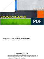 3 - Biología Celular (II)