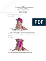 Tugas Histology Dan Anfis